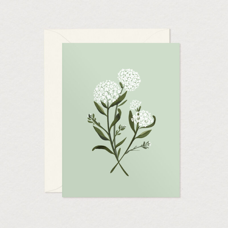 Carte de souhait Hydrangea illustrée de fleurs d'hydrangée blanches sur fond vert sauge avec enveloppe crème, création Mimosa Design.