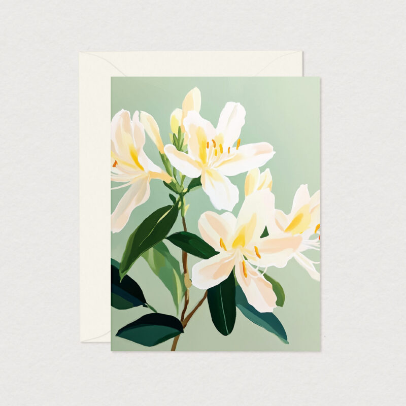 Carte de souhait Rachel illustrant de grandes fleurs blanches sur fond vert tendre, avec enveloppe assortie, création Mimosa Design.