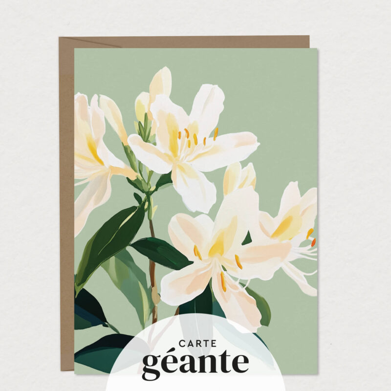 grande carte de souhaits rachel