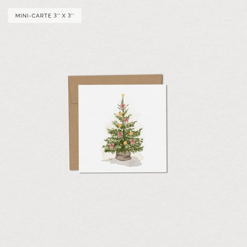 mini carte zeste de noel