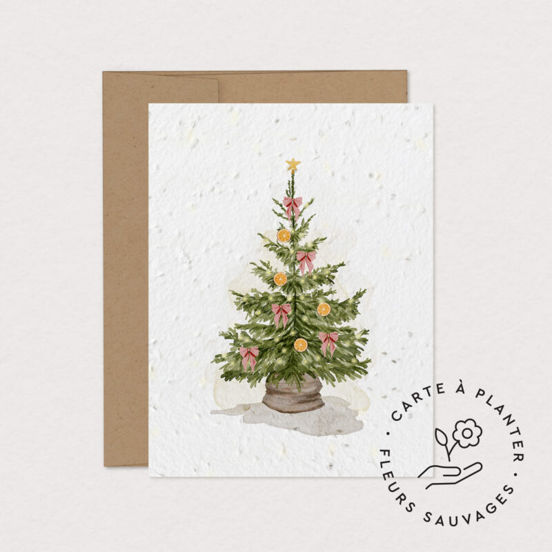 carte de souhaits a planter zeste de noel