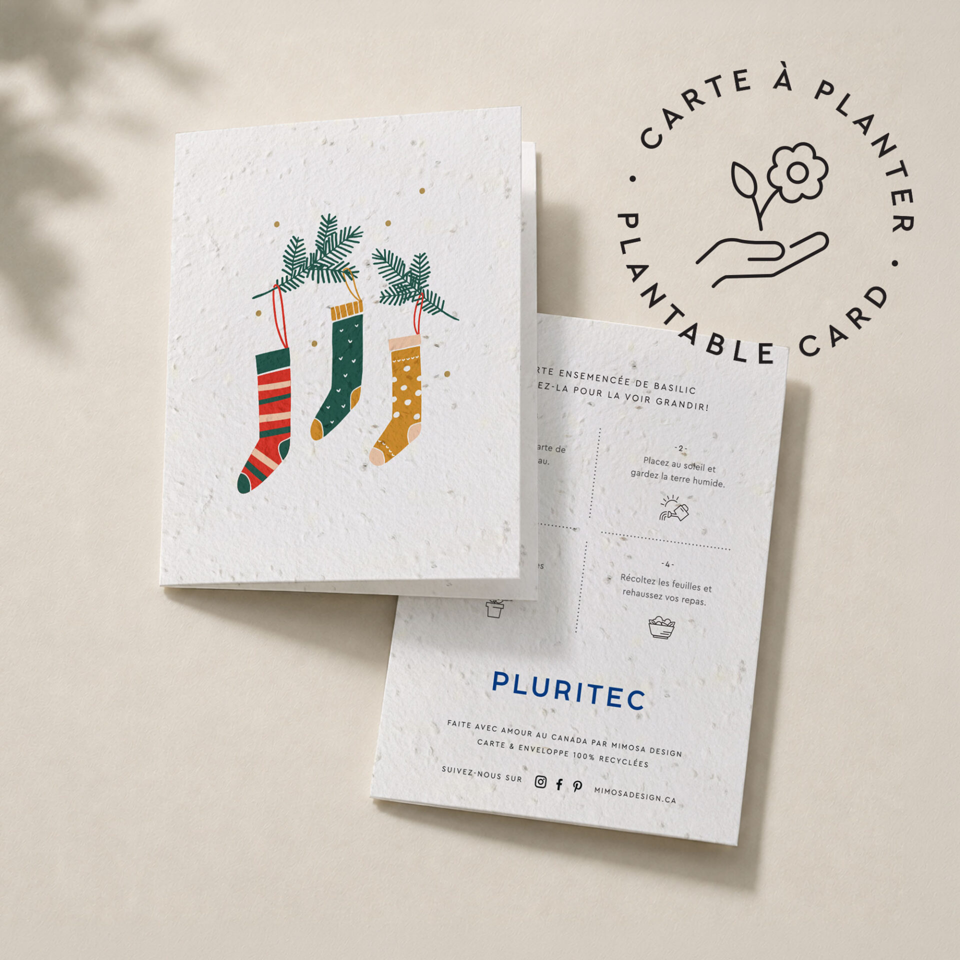 Carte de Noël à planter Pluritec en carton ensemencé, illustrée de bas de Noël, présentée avec le verso et les instructions de plantation.